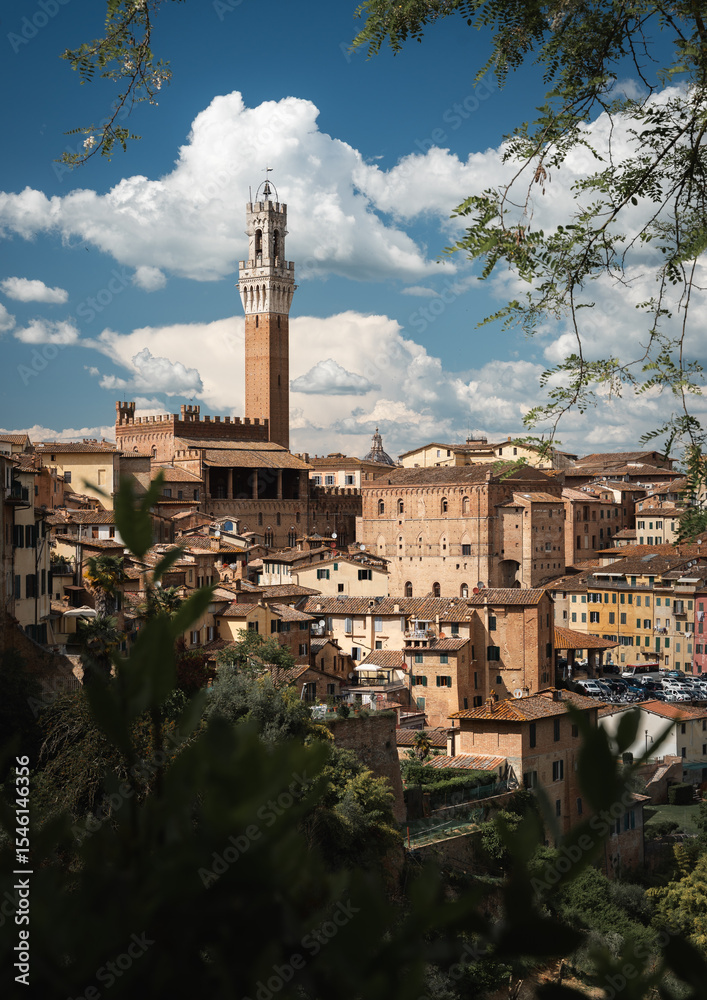 Obraz premium View of Siena, Italy, with Torre del Mangia