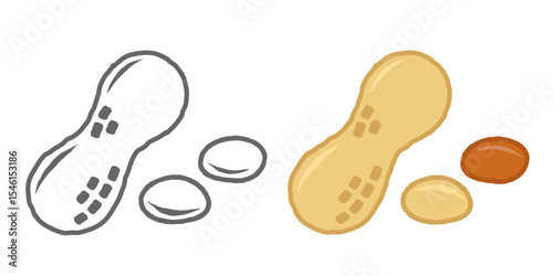 Vector icon of peanut in flat style. Vector illustration of peanut in retro line art style.