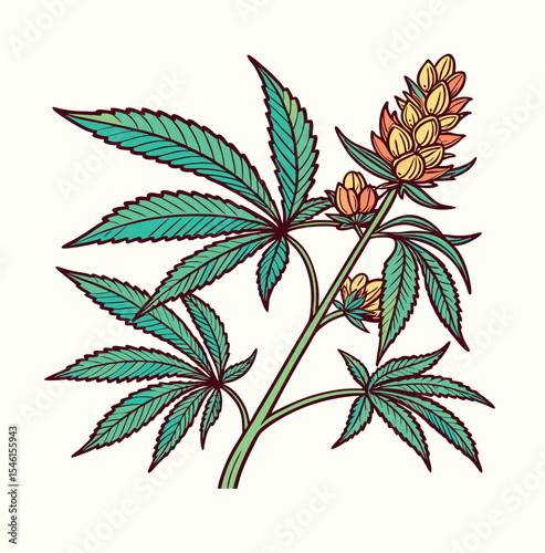  cannabis marijuana vector colorful on white backround.