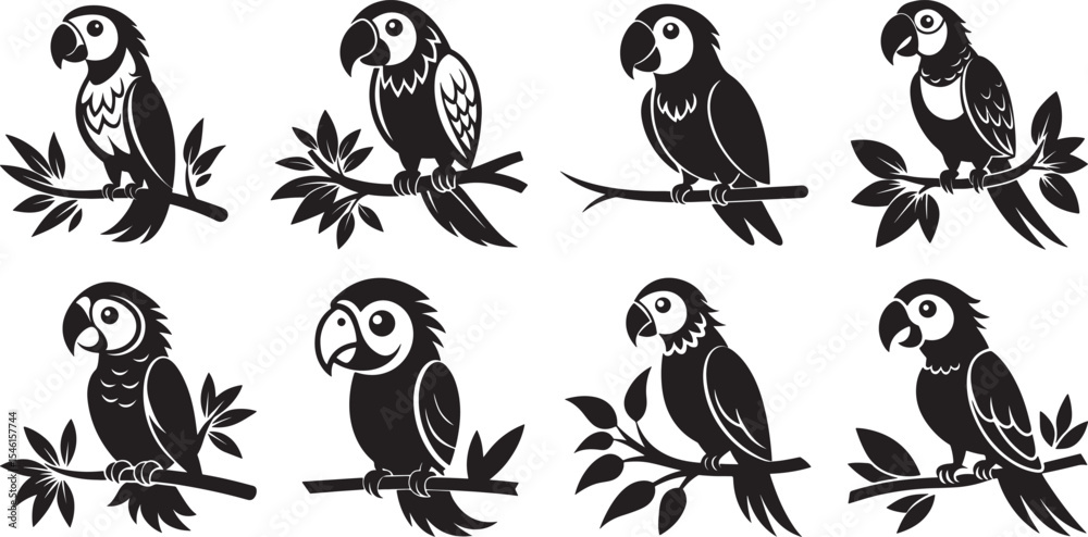 Fototapeta premium set of cute macaw sitting on branch silhouette, black and white silhouette, vector and illustration