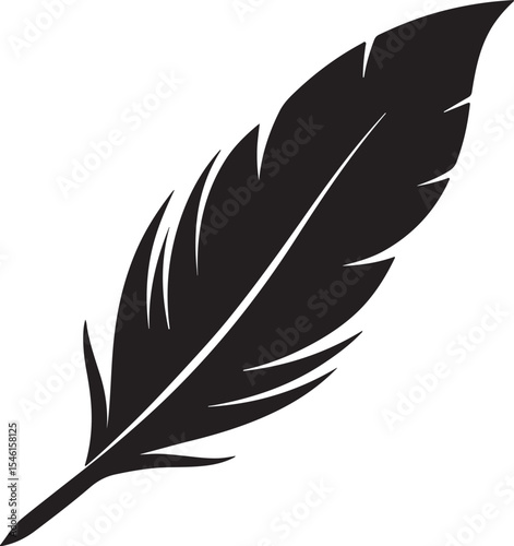 bird feather silhouette, black and white silhouette, vector and illustration
