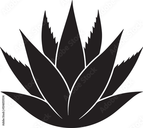 aloe vera leaves silhouette, black and white silhouette, vector and illustration