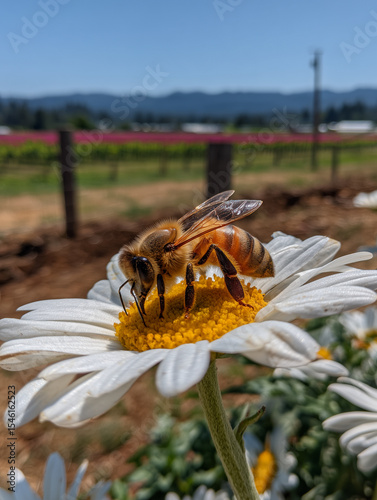 a bee collecting nectar on a vibrant flower
