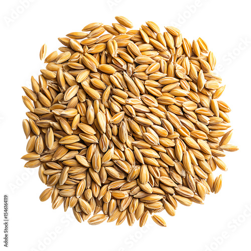 Pile of raw oat seeds, natural organic grain on transparent background