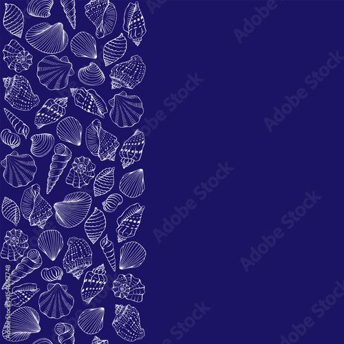 Seashells with copy space for design or message. Hand drawn illustration.