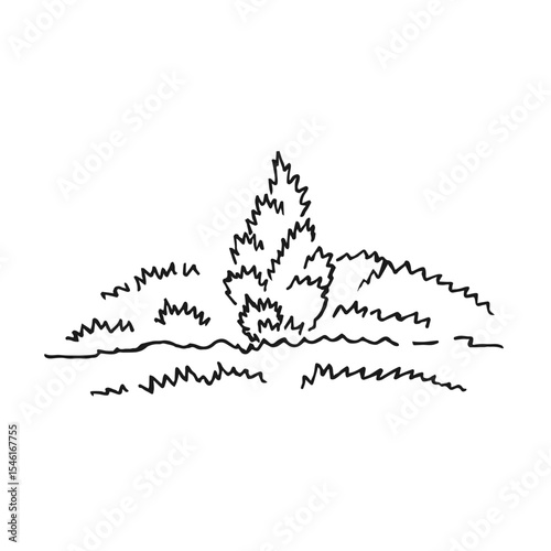 Summer landscape. Hand drawn vector illustration.