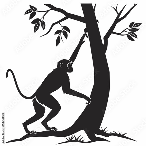 Monkey Silhouette – Black Vector Isolated Animal Illustration