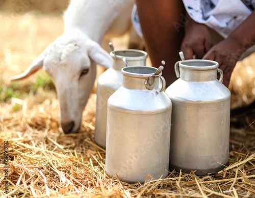 Close-up of Fulani milk calabash pots resting on a straw mat with goat hooves nearby.