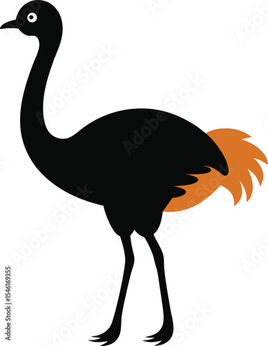 A simple, flat vector illustration of a black ostrich with orange tail feathers. Perfect for wildlife, zoo, animal, or African safari themes.