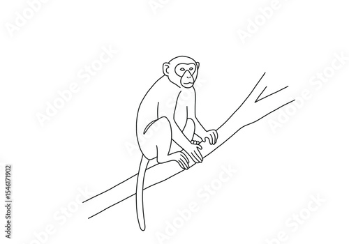 Monkey on a tree drawing. It is a simple black and white line art sketch of a monkey sitting peacefully on a tree branch. Vector sketch line art draw.