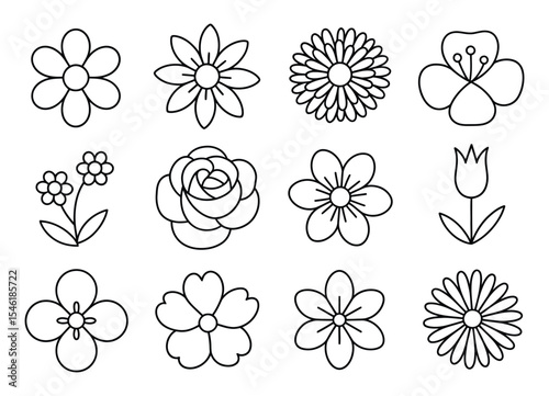 collection of 12 elegant black and white line art floral illustrations featuring roses, daisies, tulips and other botanical sketches