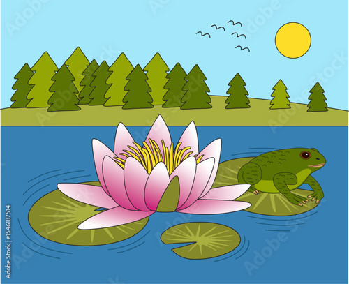 Frog living in the pond or lake vector illustration. Lily flower. Forest, sun and birds. Nature landscape