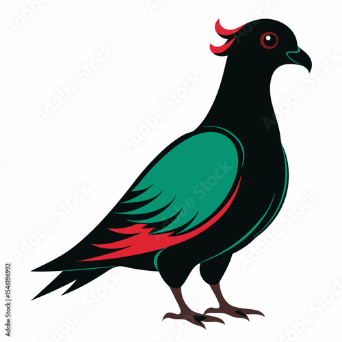 vector illustration of a pigeon