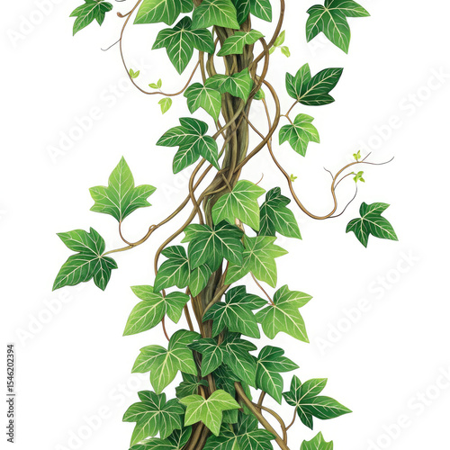 green leaves on white background