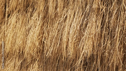 Natural pattern of weathered hay or dried grass.