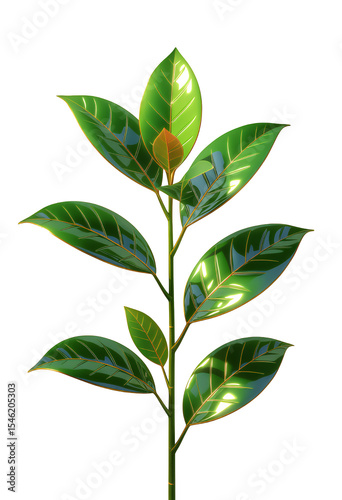 Emerald Rubber Plant on Transparent, Glossy Design Element