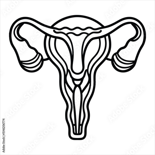 Female reproductive system illustration isolated on a white background. Designed for use in health apps, period trackers, menstrual and hormonal health, educational materials, medical infographics