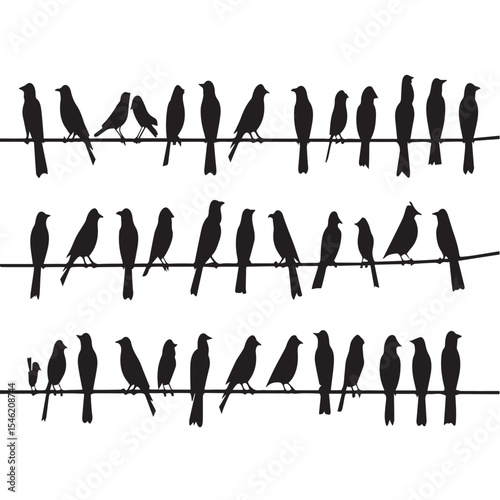 Sparrow and bullfinch birds flock on power line wires, vector silhouette background. 