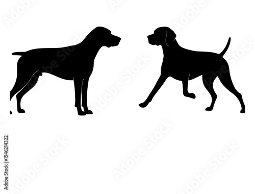 Vector image of Argentine Pila in silhouette on white background.