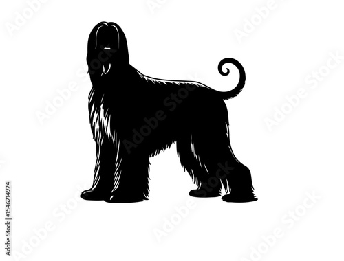 Image of Affenpinscher in silhouette white background.