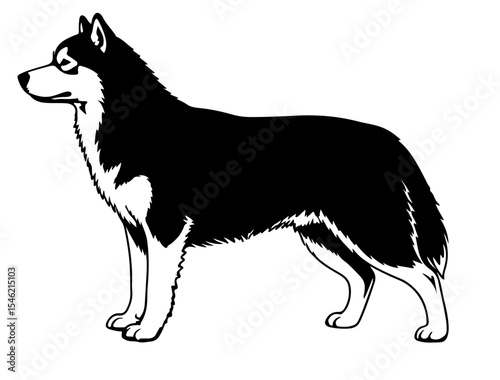 A  black vector image of Alaskan Husky in silhouette On white background.