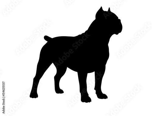  A black vector image of Alaskan Malamute on white background.