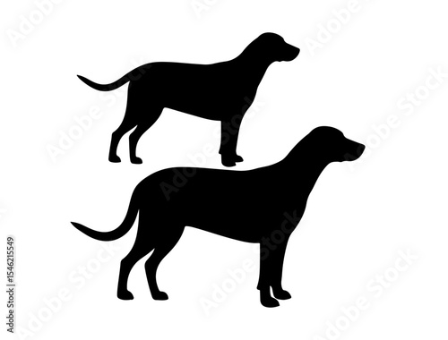 Generate a black vector image of American Hairless Terrier in silhouette on white background side.ai