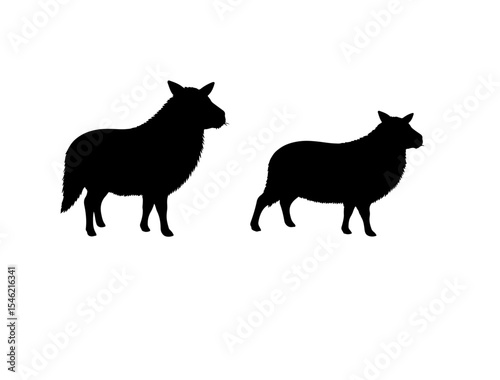 Appenzeller Sennenhund in silhouette white background.
