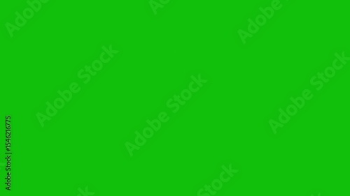 Twinkle Sparkling stars Shine animation on green screen. loop Shimmering magic stasr flash. Glowing stars sparkle Glowing stars sparkle on transparent background. 4K animation