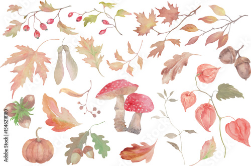 Autumn watercolor set. Oak, maple, berries. Leaf fall elements for Thanksgiving, Halloween and autumn holidays design. Hand drawn illustration. Vector EPS.
