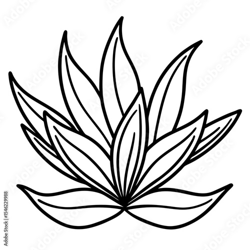 Delicate Plant Outline Vector