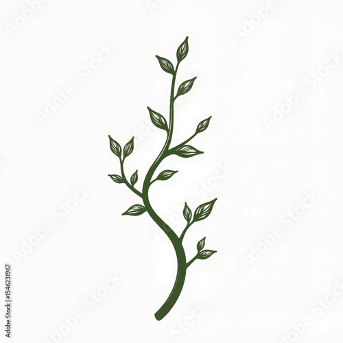 Curled vine with frost outline on white background, natural elegance