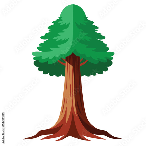 Cartoon Illustration of a Tall Redwood Tree with Green Foliage on White