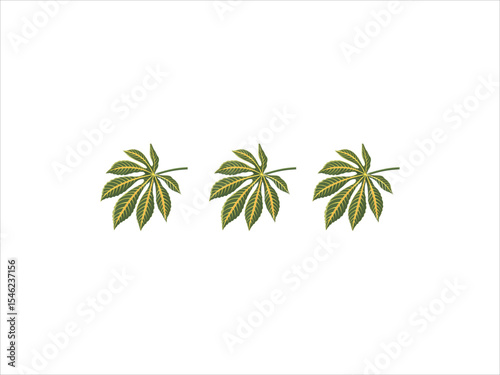 Three Green and Yellow Castor Bean Leaves V E C T O R Illustration Isolated on White Background Botanical Print Design Element