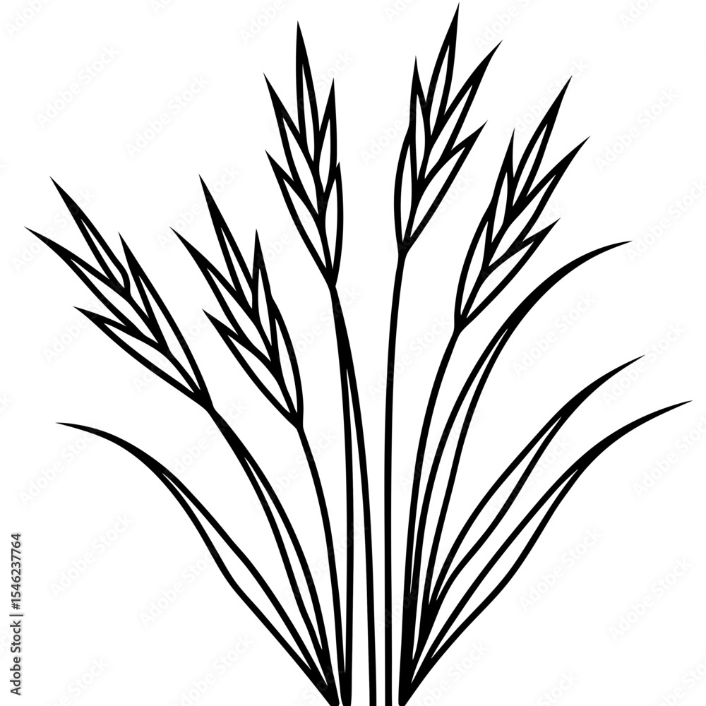 Fototapeta premium Elegant Grass Blades Line Art