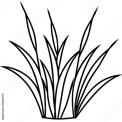 Elegant Grass Blades Line Art