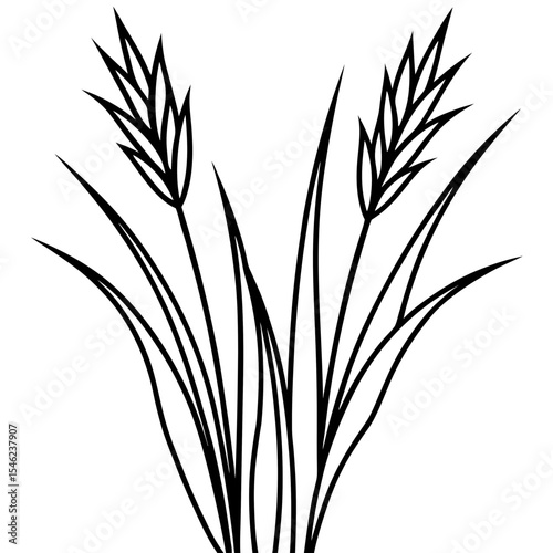 Elegant Grass Blades Line Art