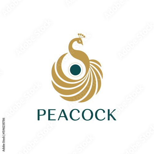  Peacock Logo design