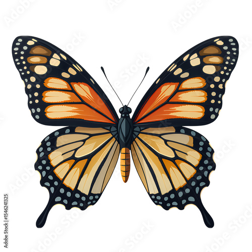Tangerine Butterfly on Transparent, Elegant Design Element