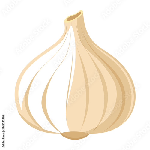 Single Beige Garlic Bulb Illustration on White Background, Simple Design for Food Content