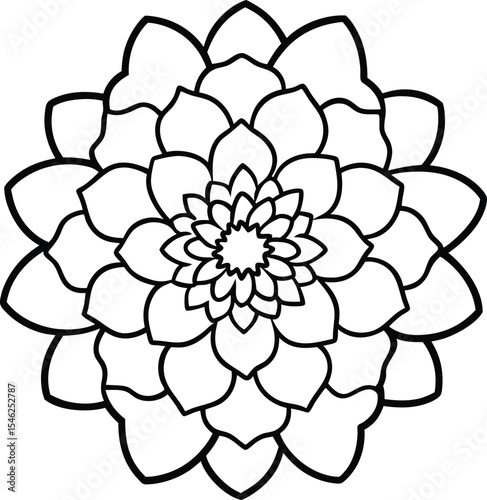Round marigold line illustration with floral precision