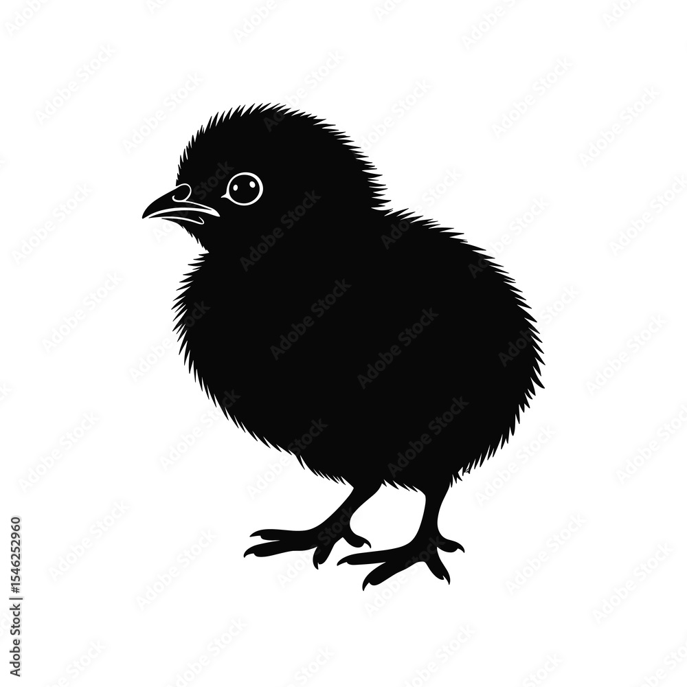 Obraz premium Adobe Illustrator Artwork