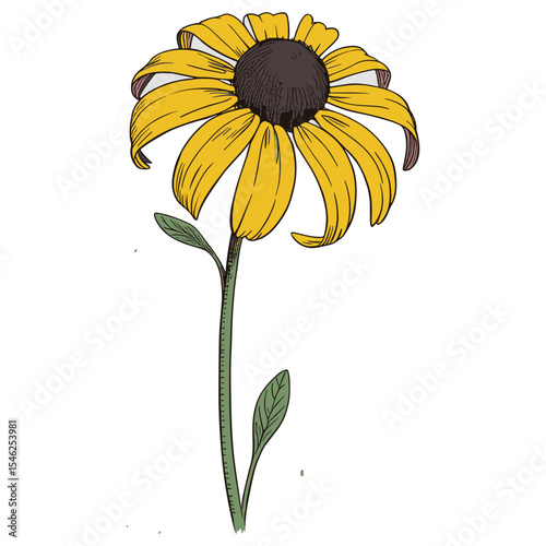 Yellow Wildflower with Dark Center – Botanical Illustration with Green Stem and Leaves