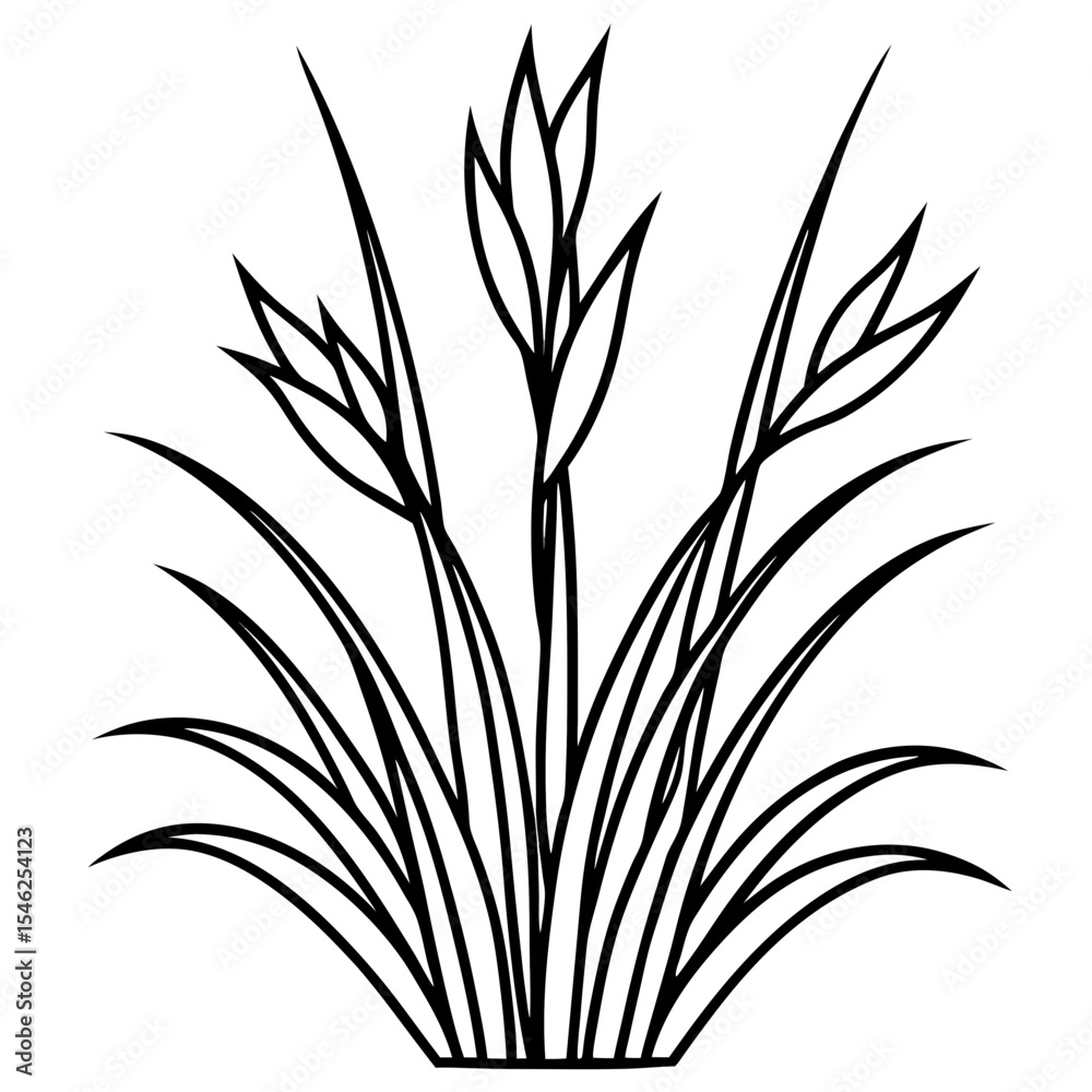 Obraz premium Floral Grassline Vector Art