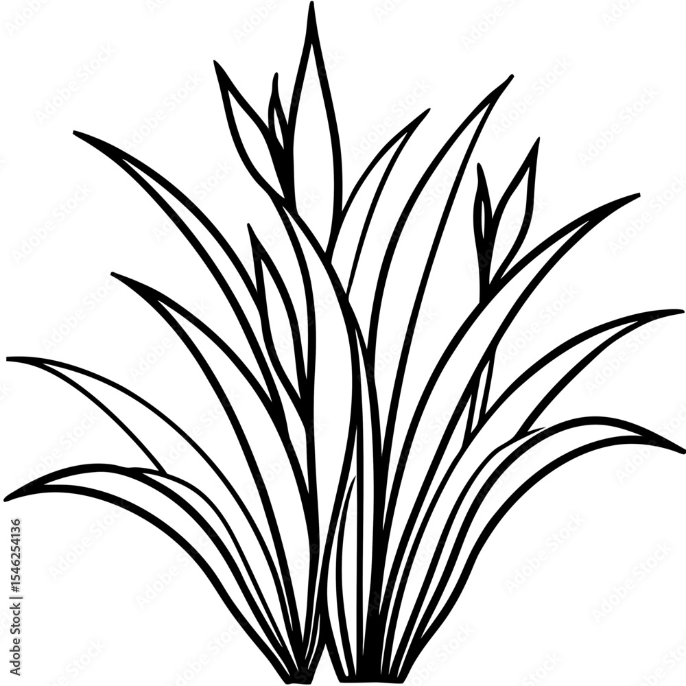 Obraz premium Floral Grassline Vector Art