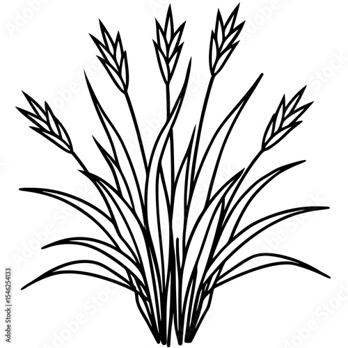 Floral Grassline Vector Art