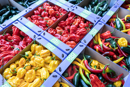 Fotografie Vele soorten bio pepers in de kleur rood, geel en groen