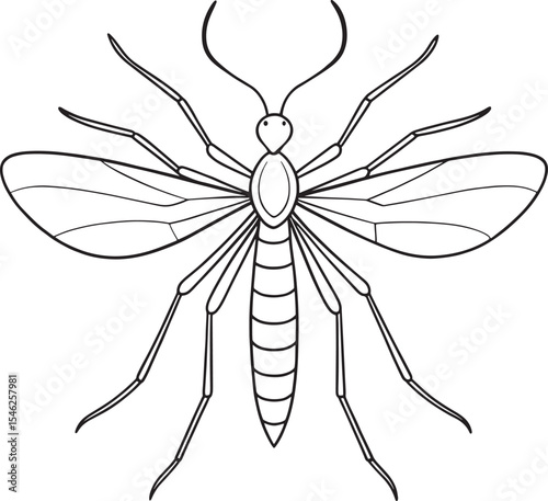Crane fly line art insect for coloring fun