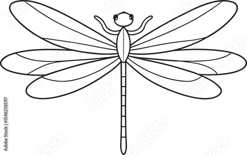 Dragonfly insect drawing for toddler coloring