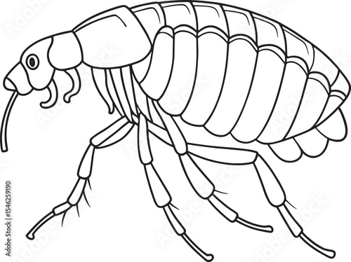 Flea bug coloring sheet for early learners